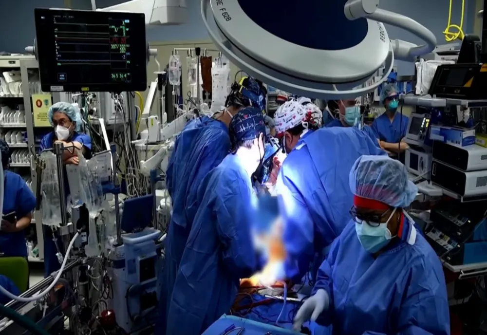Premieră mondială în medicină - Inimă de porc, transplantată cu succes în corpul unui om