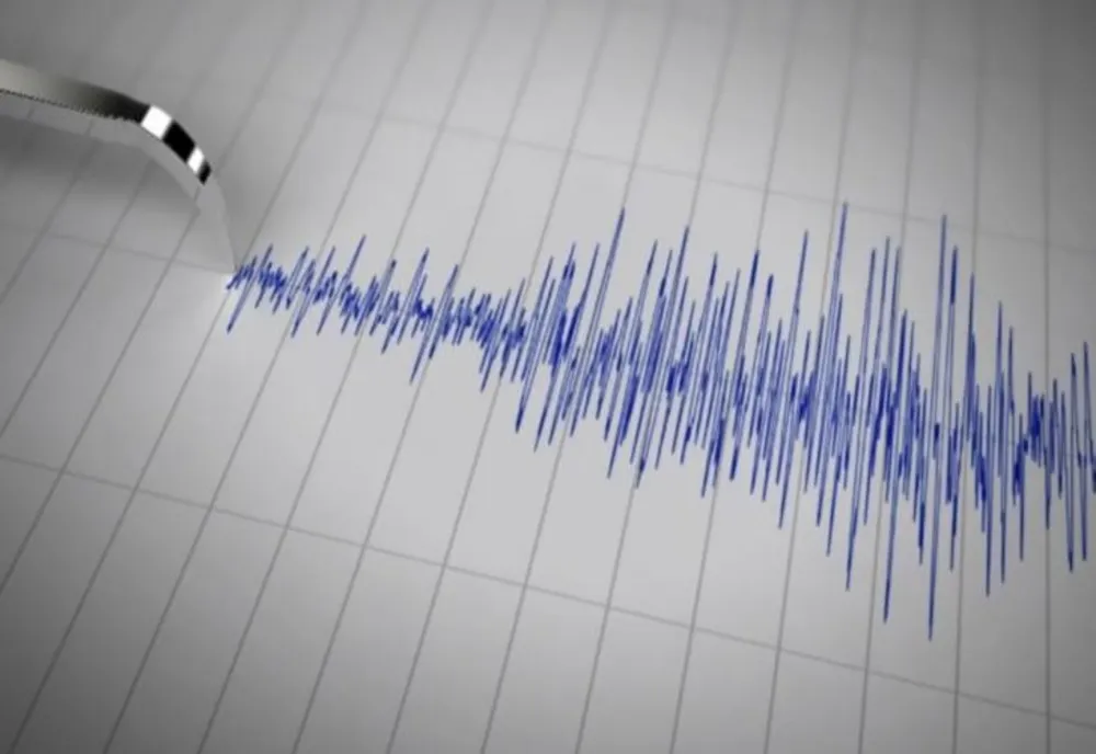 TREI CUTREMURE ÎN ZONA SEISMICĂ VRANCEA, MARȚI DIMINEAȚĂ