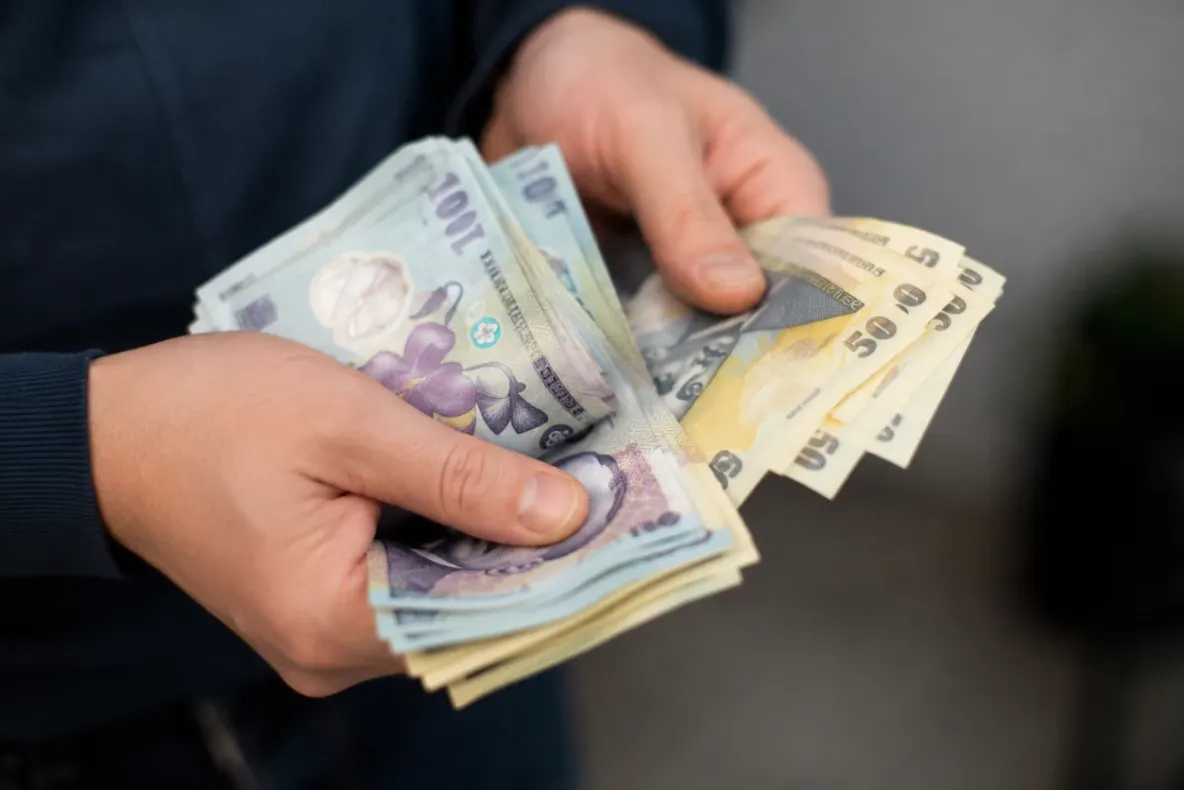 INS: Câştigul salarial mediu brut a atins, în iunie, 9.564 lei, cu 81 lei mai mult decât în luna mai 