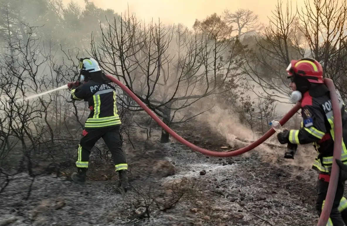 Incendiu de vegetație uscată în Alba Iulia: cinci autospeciale și 20 de pompieri la intervenție