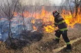 Pompierii continuă intervențiile pentru stingerea incendiului din Parcul Național Domogled
