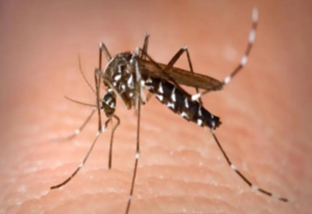Încă un caz de infectare cu virusul West Nile în România! Până în prezent au fost înregistrate 4 decese