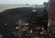 Incendiu puternic la un adăpost de animale din Caransebeș. Pompierii spun că focul ar fi fost pus
