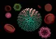 Primele suspiciuni de Omicron în România: Un jucător de rugby și alte 2 persoane, toți sosiți din Africa de Sud