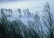 ALERTĂ METEO. Cod galben de vânt puternic și zăpezi viscolite - rafale de până la 100 km/h