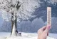 -17 grade Celsius la Timișoara - cea mai geroasă noapte din această iarnă