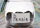 Ce se întâmplă cu pensiile de Paște? Anunțul premierului Ciolacu