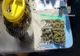 Dependența de DROGURI, date alarmante: 150 de copii tratați la Spitalul Obregia și 64 la Grigore Alexandrescu! - Cel mai mic pacient are 12 ani