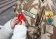 MApN recrutează soldați gradați profesioniști, parașutiști comando și specialități de sprijin