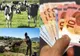 APIA A AUTORIZAT LA PLATĂ DE LA ÎNCEPUTUL LUI DECEMBRIE PESTE 637,9 MILIOANE EURO, PENTRU 677.761 FERMIERI