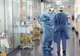 România a înregistrat 15 cazuri de infecție cu hantavirus între 2023 și 2026, dintre care unul în acest an